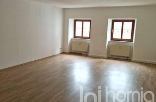 Wohnung mieten in 02625 Bautzen, Geräumige Singlewohnung im Stadtzentrum
