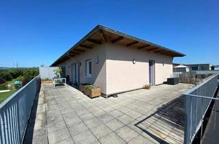 Wohnung mieten in 54516 Wittlich, Dachgeschosswohnung in Wittlich zu vermieten.