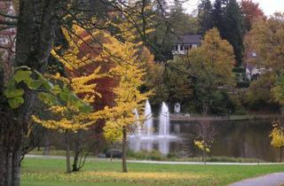 Penthouse mieten in 61476 Kronberg, Penthouse der Superlative im Vikoriapark Kronberg