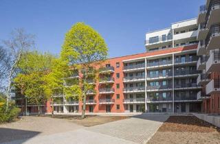 Wohnung mieten in Fritz-Erler-Allee 166, 12353 Rudow, 1 Zimmerwohnung sucht neuen Mieter!