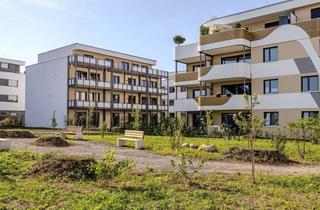 Wohnung mieten in Anna-Reich-Straße 19/1, 71069 Sindelfingen, Neubau 3 - Zimmer Wohnung im 1. Obergeschoss