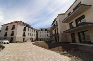 Wohnung mieten in 67098 Bad Dürkheim, Neuwertige 2-Zimmer-Wohnung mit Balkon und EBK in Bad Dürkheim