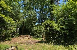 Grundstück zu kaufen in 04827 Machern, Rarität: Baulücke in Machern