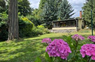 Grundstück zu kaufen in 04828 Bennewitz, Altenbach: Ihr grünes Paradies – weitläufiges Gartengrundstück mit Bungalow, Garage und Nebengebäude