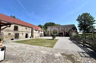 Haus kaufen in 16835 Herzberg, Zeitreise ins Glück – Historischer Hof mit modernem Potenzial