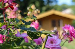 Grundstück zu kaufen in 96161 Gerach, Filet-Grundstück im Bamberger Land - Gartenparadies und Bauland! Einmalige Gelegenheit für Familien!