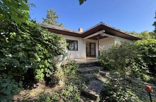 Haus kaufen in 67283 Obrigheim, Ruhig wohnen, groß denken – Bungalow mit Traumgrundstück