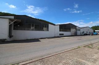 Gewerbeimmobilie mieten in 71297 Mönsheim, Flexibel nutzbare Hallen-/ Lagerfläche, teilweise tiefkühlfähig