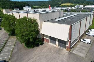 Gewerbeimmobilie kaufen in 73079 Süßen, Gewerbeareal mit Produktionshalle und Hochregal