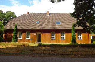 Anlageobjekt in 29359 Habighorst, Renoviertes bezugsfreies 4-Familienhaus bei Eschede