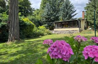 Grundstück zu kaufen in 04828 Bennewitz, Altenbach: Ihr grünes Paradies – weitläufiges Gartengrundstück mit Bungalow, Garage und Nebengebäude