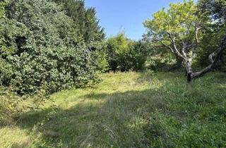 Grundstück zu kaufen in 66482 Zweibrücken, Großes Baugrundstück mit Garten in ruhiger Hanglage von Zweibrücken