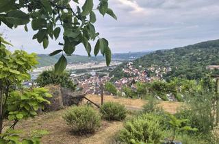 Grundstück zu kaufen in 70329 Hedelfingen, Gartengrundstück in Stuttgart - Hedelfingen, Lenzenberg Weinberge