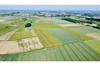 Immobilie kaufen in 88433 Schemmerhofen, Landwirtschaftliches Ackerland in Schemmerhofen