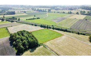 Immobilie kaufen in 88433 Schemmerhofen, Landwirtschaftliche Grundstücke in Schemmerhofen