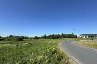 Gewerbeimmobilie kaufen in Graf-Zeppelin-Straße, 56479 Liebenscheid, 30.000m² Industrie-/Gewerbegrundstück (GI) am Flughafen Siegerland, 10 min. zur A45