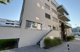 Wohnung mieten in 01159 Dresden, 2-Zimmer EG Wohnung mit Einbauküche