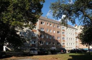Wohnung mieten in Tribseer Damm 59, 18437 Tribseer Vorstadt, Erstbezug nach Renovierung!