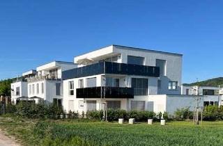 Wohnung mieten in Burgunderweg, 71404 Korb, Exklusive 5-Zimmer-Erdgeschosswohnung in Korber Bestlage