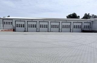 Gewerbeimmobilie kaufen in Bonrechtern 26, 49429 Visbek, Hallenkomplex gesicherte Mieteinnahmen 120.000 € p.a. bis 31..12.2028