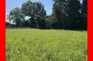 Grundstück zu kaufen in 31073 Delligsen, Delligsen - Delligsen: Grundstück zu vergeben