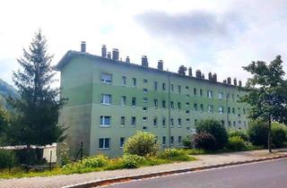 Wohnung kaufen in 96528 Effelder-Rauenstein, Frankenblick - Renovierte 2-Raum-Wohnung mit tollem Ausblick in Frankenblick