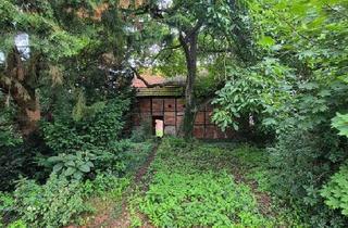 Haus kaufen in 39326 Wolmirstedt, Wolmirstedt - Großes Grundstück mit Haus und Scheune