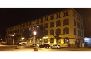 Loft kaufen in 01809 Heidenau, Heidenau - Das Loft individuell-modern-geräumig-vielfältig-einzig