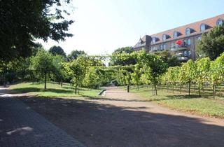 Wohnung mieten in 79206 Breisach, **Breisach a.Rh.: *Schicke 3 Zi. Whg. mit Einbauküche,2x Balkon u. Aufzug sucht neue Mieter**