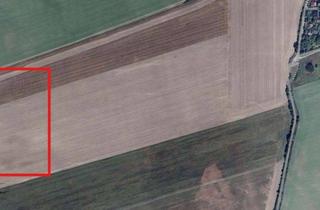 Anlageobjekt in 15749 Mittenwalde, Landwirtschaftsfläche mit Entwicklungsperspektive – südlich von Berlin