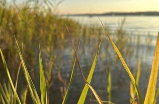 Haus mieten in 82335 Berg, Traumhaftes Einfamilienhaus nahe dem Starnberger See