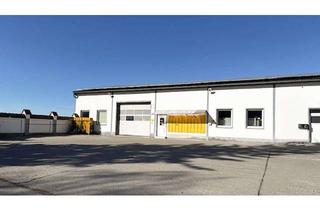 Gewerbeimmobilie mieten in 86836 Untermeitingen, Helle Warmhalle mit Fensterfront – flexibel nutzbar für Lager, Produktion oder Verkauf