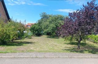 Grundstück zu kaufen in Wennebruchstraße 33, 66620 Nonnweiler, Bauplatz sucht Bauherr