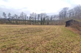 Gewerbeimmobilie kaufen in 92281 Königstein, Grundstück für Freizeit- Land- Forstwirtschaft bei Kappelberg
