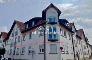Wohnung mieten in 76887 Bad Bergzabern, Attraktive 2-3 Zimmer-Wohnung in ruhiger Lage am Rande des historischen Zentrums von Bad Bergzabern
