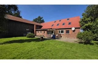 Einfamilienhaus kaufen in 21776 Wanna, Großzügiges Einfamilienhaus mit Scheune in ruhiger Alleinlage von Wanna zum Schnäppchenpreis
