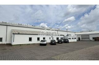 Büro zu mieten in Wierlings Busch 65, 48249 Dülmen, Gewerbehalle Lagerhalle mit Büro in Dülmen zur Miete 650 m²