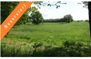 Immobilie kaufen in 31613 Wietzen, 6,6651 ha Grünland mit Waldanteil in Wietzen