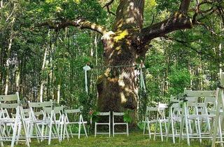 Haus kaufen in 18513 Glewitz, Für Mehrgenerationen-Leben / Großfamilie – „Ein Familiensitz wie aus dem Märchen