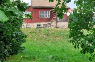 Haus kaufen in 98596 Brotterode-Trusetal, Brotterode-Trusetal - TinyHouse Minihaus in toller Lage zur freien Gestaltung