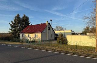 Einfamilienhaus kaufen in 04938 Uebigau, Uebigau-Wahrenbrück - Einfamilienhaus mit großem Grundstück