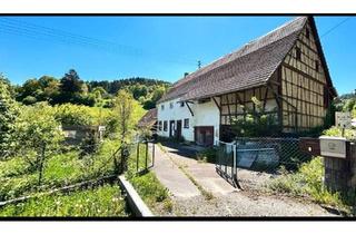 Haus kaufen in 72160 Horb, Horb am Neckar - Selbstversorgertraum! 6800qm, 110qm, Bachlauf, Tiny House