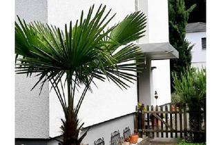 Haus kaufen in 65719 Hofheim am Taunus, Hofheim am Taunus - OHNE MAKLER - Top-gepflegtes Zweifamilienhaus in ruhiger Lage