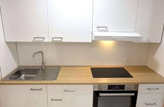 Wohnung mieten in 63762 Großostheim, helle 1-Zimmer Souterrain Wohnung in ruhiger Lage von Großostheim