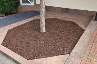 Wohnung mieten in 63906 Erlenbach, Helle 4-Zimmer-Wohnung in ruhiger Lage mit Balkon und optionaler Garage in Erlenbach / Mechenhard