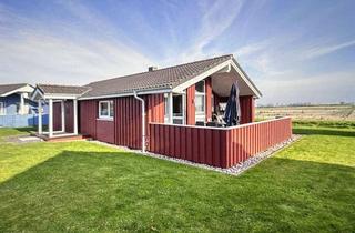 Haus kaufen in 25764 Wesselburenerkoog, Gemütliches Ferienhaus direkt am Nordseedeich - von Privat