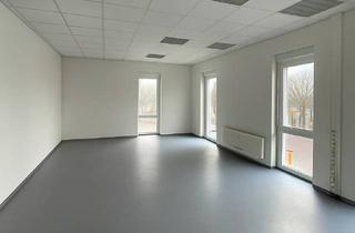 Büro zu mieten in Auf Der Aue 8 a, 69488 Birkenau, Einzelbüro in Birkenau - 50 qm für bis zu 6 Arbeitsplätzen