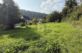 Grundstück zu kaufen in 34355 Staufenberg, VIEL PLATZ FÜR IHRE BAUPLÄNE