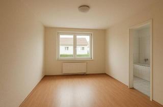 Wohnung kaufen in 33014 Bad Driburg, Bad Driburg - Frisch sanierte 2-Zimmer-Wohnung im EG