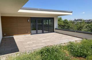 Penthouse kaufen in 55543 Bad Kreuznach, Penthouse mit großen Aussichtsterrassen im Salinenpark